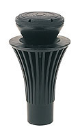 K�nigslilie K - 1