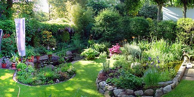 gartenteichanlage ramseger im sommer