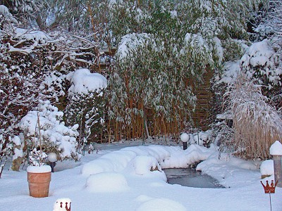 oase fm master wlan #1