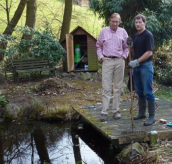 Grünalgen und Fadenalgen im Gartenteich Wie starke Regenfälle