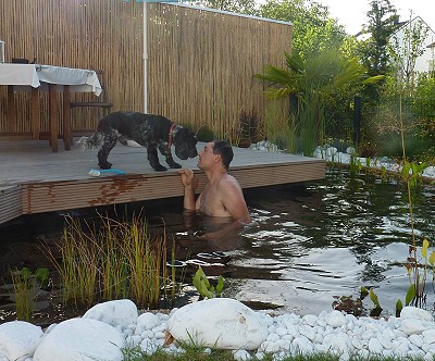 teichpumpenreinigung im gartenteich abschied von snoopy