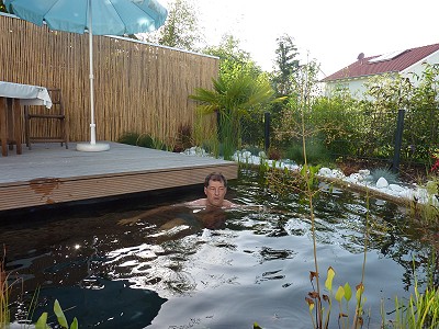 teichpumpenreinigung im gartenteich teichpumpe gereinigt
