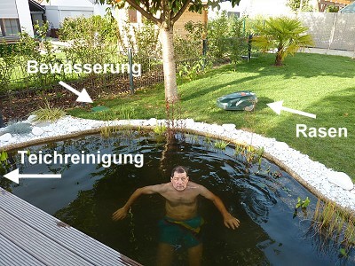 teichpumpenreinigung im gartenteich erholung