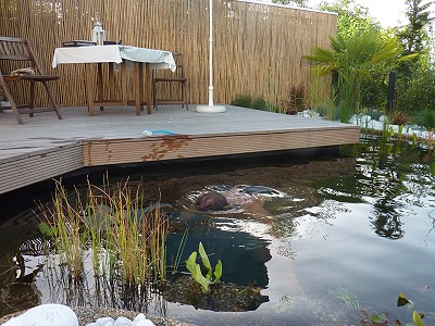 teichpumpenreinigung im gartenteich teichpumpe heraufholen
