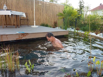 teichpumpenreinigung im gartenteich teichpumpe anvisieren