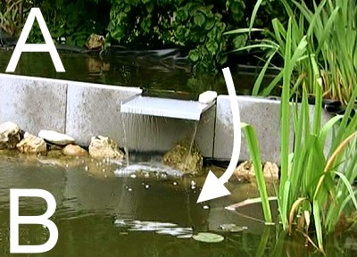 der weg des kois in den unteren teich