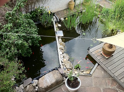 zwei gartenteiche in der uebersicht