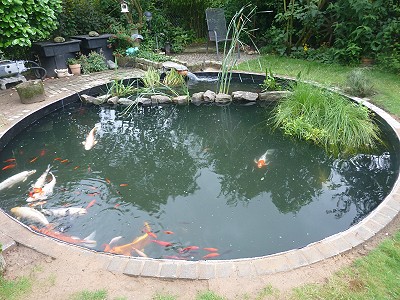 Swimming pool zum teich umbauen Hauspool